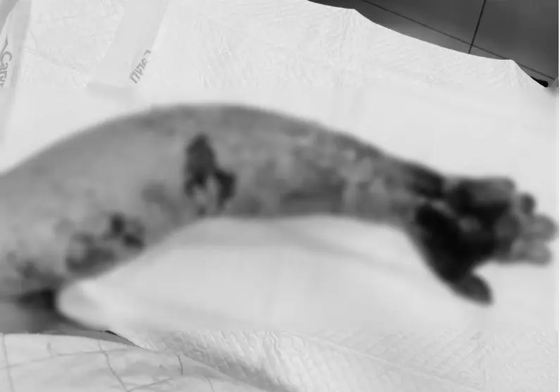 Đài PTTH Hà Nội